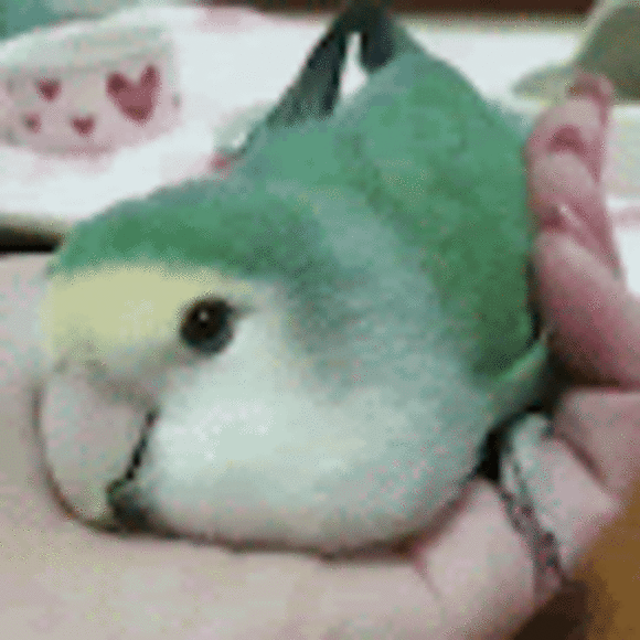 thr1ftycat